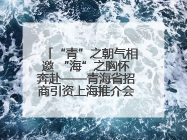 “青”之朝气相邀 “海”之胸怀奔赴——青海省招商引资上海推介会现场见闻