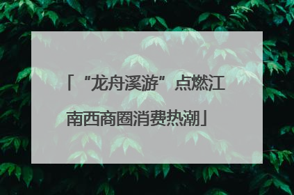 “龙舟溪游”点燃江南西商圈消费热潮