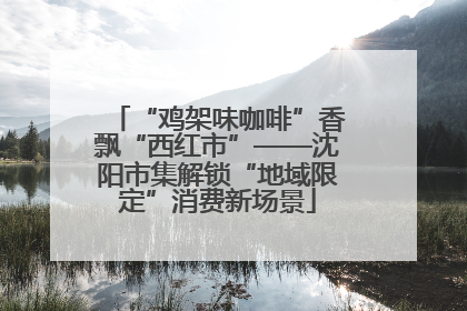 “鸡架味咖啡”香飘“西红市”——沈阳市集解锁“地域限定”消费新场景