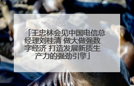 王忠林会见中国电信总经理刘桂清 做大做强数字经济 打造发展新质生产力的强劲引擎