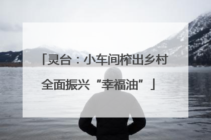 灵台：小车间榨出乡村全面振兴“幸福油”