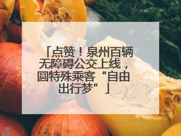 点赞！泉州百辆无障碍公交上线，圆特殊乘客“自由出行梦”