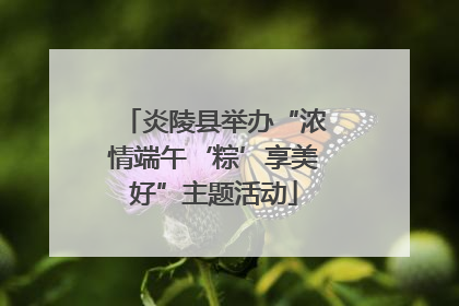 炎陵县举办“浓情端午‘粽’享美好”主题活动