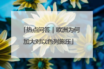 热点问答｜欧洲为何加大对以色列施压