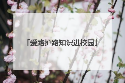 爱路护路知识进校园