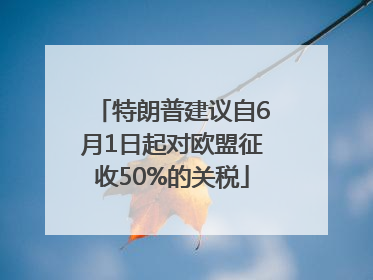 特朗普建议自6月1日起对欧盟征收50%的关税