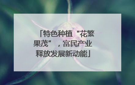 特色种植“花繁果茂”，富民产业释放发展新动能