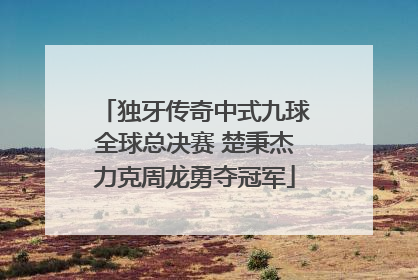独牙传奇中式九球全球总决赛 楚秉杰力克周龙勇夺冠军