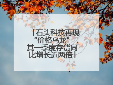 石头科技再现“价格乌龙”，其一季度存货同比增长近两倍