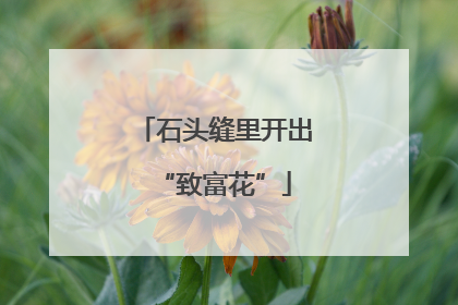 石头缝里开出“致富花”