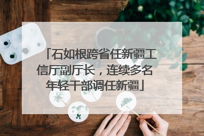 石如根跨省任新疆工信厅副厅长，连续多名年轻干部调任新疆