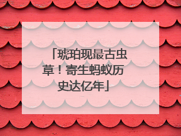 琥珀现最古虫草！寄生蚂蚁历史达亿年