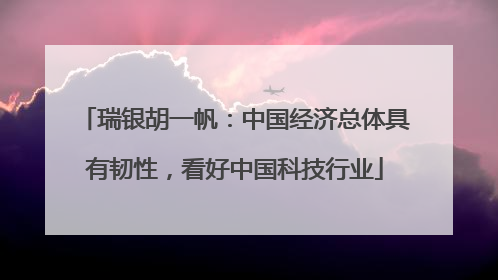 瑞银胡一帆：中国经济总体具有韧性，看好中国科技行业