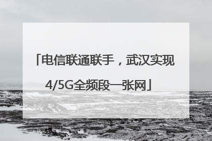 电信联通联手，武汉实现4/5G全频段一张网