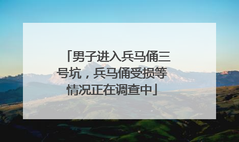 男子进入兵马俑三号坑，兵马俑受损等情况正在调查中