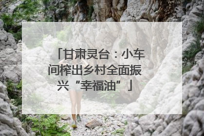 甘肃灵台：小车间榨出乡村全面振兴“幸福油”