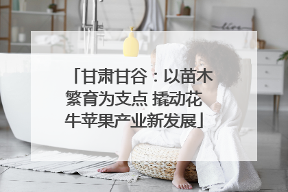 甘肃甘谷：以苗木繁育为支点 撬动花牛苹果产业新发展