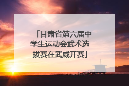 甘肃省第六届中学生运动会武术选拔赛在武威开赛