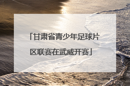 甘肃省青少年足球片区联赛在武威开赛