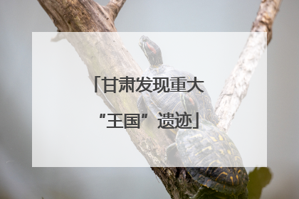 甘肃发现重大“王国”遗迹