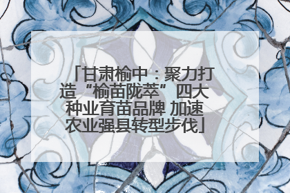 甘肃榆中：聚力打造“榆苗陇萃”四大种业育苗品牌 加速农业强县转型步伐