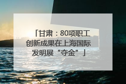 甘肃：80项职工创新成果在上海国际发明展“夺金”