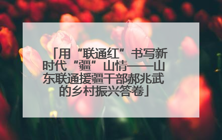 用“联通红”书写新时代“疆”山情——山东联通援疆干部郝兆武的乡村振兴答卷