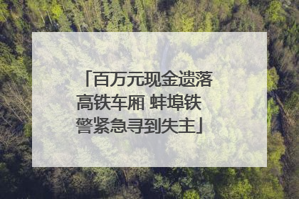 百万元现金遗落高铁车厢 蚌埠铁警紧急寻到失主