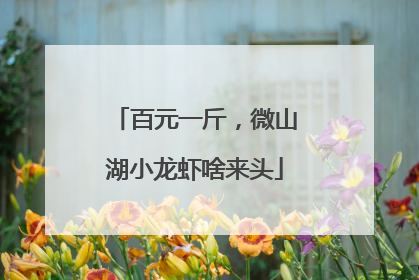 百元一斤，微山湖小龙虾啥来头