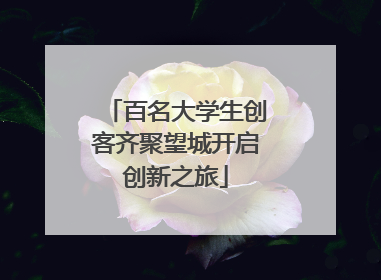 百名大学生创客齐聚望城开启创新之旅