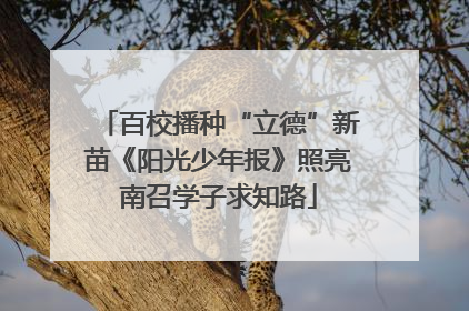 百校播种“立德”新苗《阳光少年报》照亮南召学子求知路