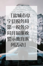 盐城市阜宁县税务局第一税务分局开展廉政警示教育系列活动