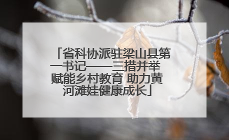 省科协派驻梁山县第一书记——三措并举 赋能乡村教育 助力黄河滩娃健康成长