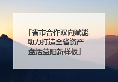省市合作双向赋能 助力打造全省资产盘活益阳新样板