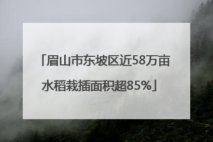 眉山市东坡区近58万亩水稻栽插面积超85%