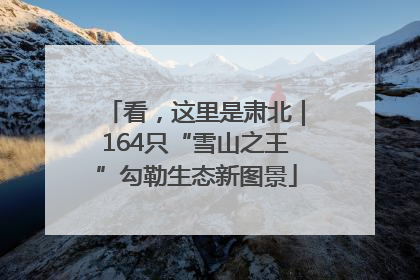 看，这里是肃北｜164只“雪山之王”勾勒生态新图景