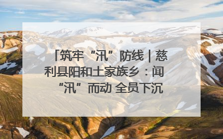 筑牢“汛”防线｜慈利县阳和土家族乡：闻“汛”而动 全员下沉筑牢防汛“安全堤”