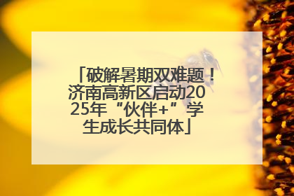 破解暑期双难题！济南高新区启动2025年“伙伴+”学生成长共同体