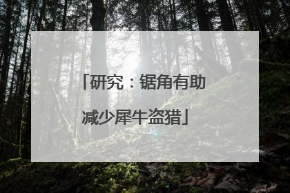 研究：锯角有助减少犀牛盗猎