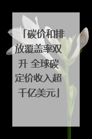 碳价和排放覆盖率双升 全球碳定价收入超千亿美元