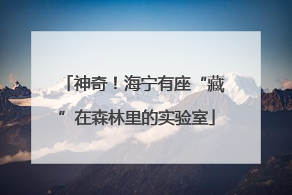 神奇！海宁有座“藏”在森林里的实验室