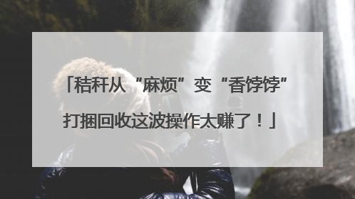 秸秆从“麻烦”变“香饽饽” 打捆回收这波操作太赚了！