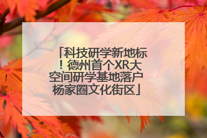 科技研学新地标！德州首个XR大空间研学基地落户杨家圈文化街区