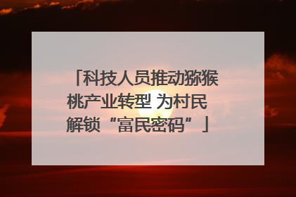 科技人员推动猕猴桃产业转型 为村民解锁“富民密码”
