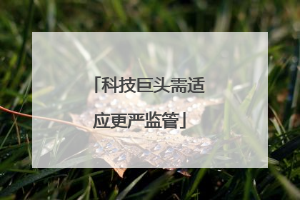 科技巨头需适应更严监管