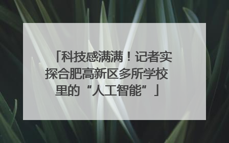科技感满满！记者实探合肥高新区多所学校里的“人工智能”