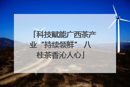 科技赋能广西茶产业“持续领鲜” 八桂茶香沁人心