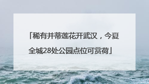 稀有并蒂莲花开武汉，今夏全城28处公园点位可赏荷