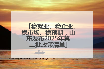稳就业、稳企业、稳市场、稳预期，山东发布2025年第二批政策清单