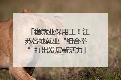 稳就业保用工！江苏各地就业“组合拳”打出发展新活力